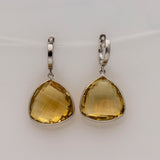 Sunlit Silver Drops